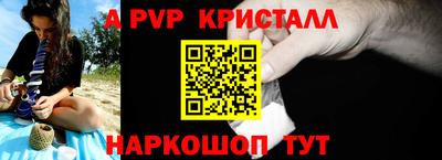 гидра Будённовск