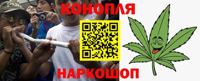 гидра Будённовск