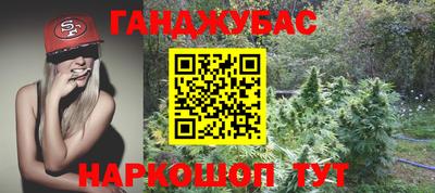 гидра Будённовск