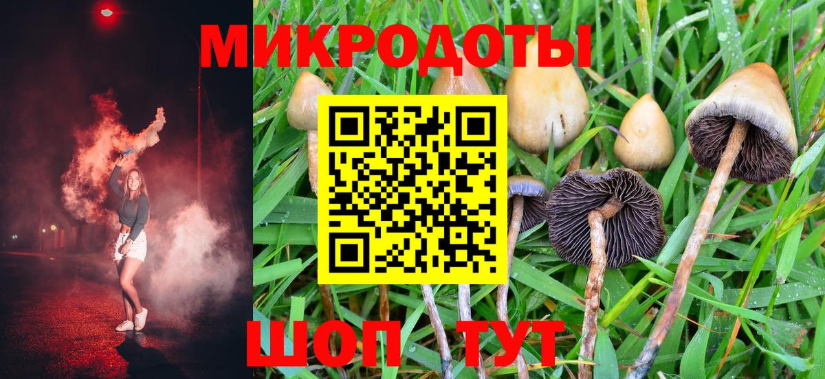 Псилоцибиновые грибы Psilocybe Нефтеюганск