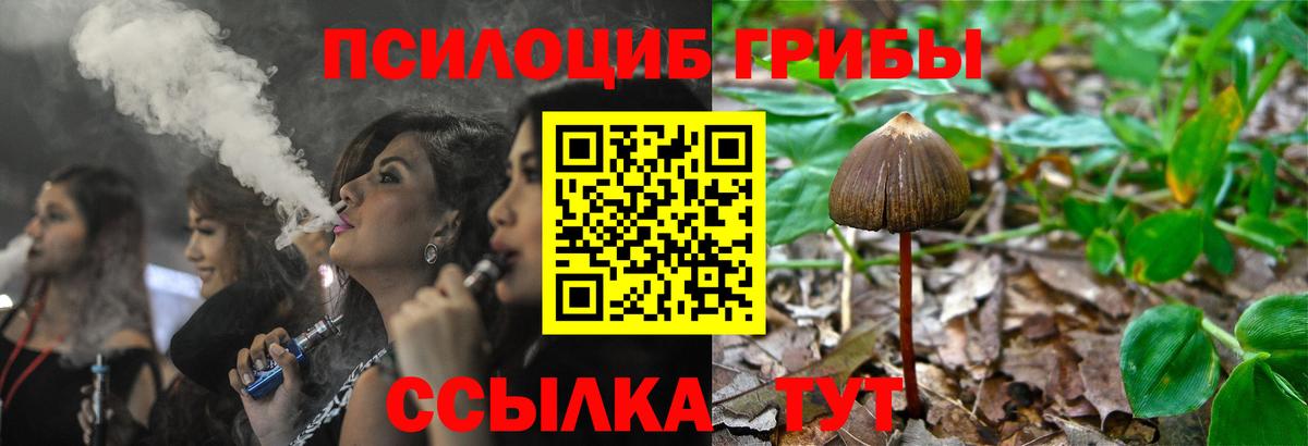 Псилоцибиновые грибы Psilocybe  Вход с VPN  Галлюциногенные грибы Psilocybine cubensis  Нефтеюганск 